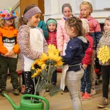  Mit einem Sing-Spiel, „Sonnenblumen sind schön“, verzauberten die Kids die Gottesdienstbesucher. Foto: Julia Otto